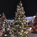 ���� �����, ������ - ��������� 14 ������� 2025 � ������ ���� ����������