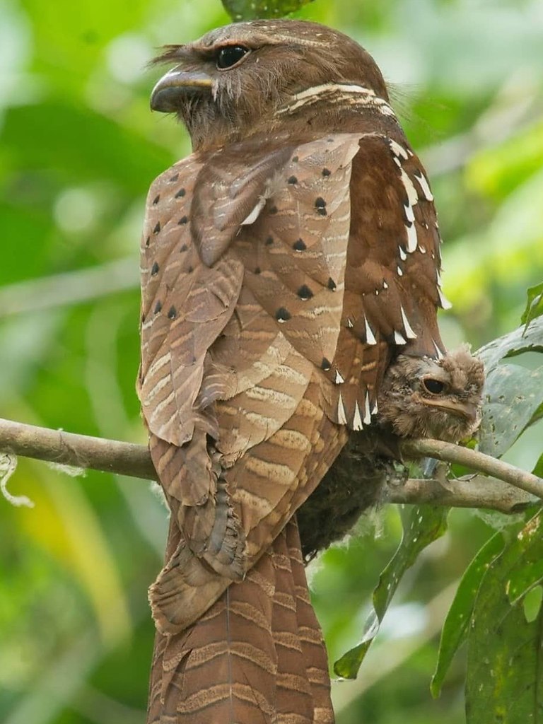 ��������� ������� ������� � ���� �� ����� ������� ����. �� �������� ��������� � ����� �������� � ... - 2