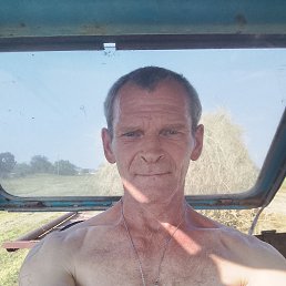  , 44 , 