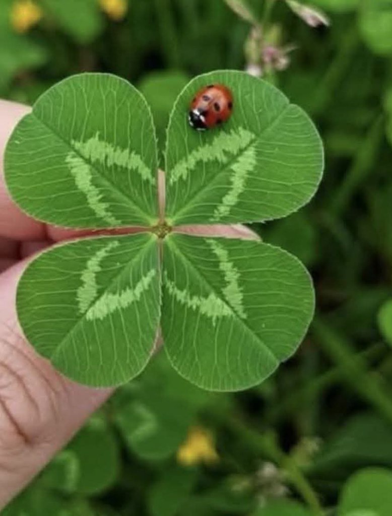 :)    ,   .        ...