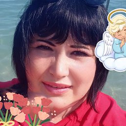 ������, �����������, 41 ���