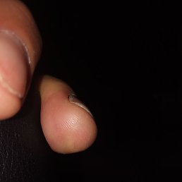 ������, ������, 53 ����