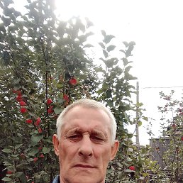 , 66, 