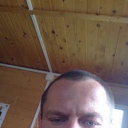 , 32, 
