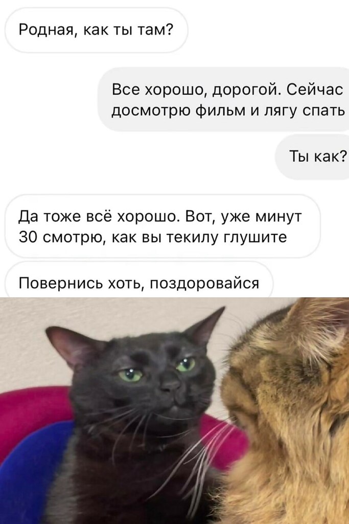  - 21  2025  07:12