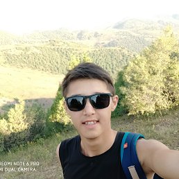 , 24, 