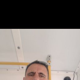 ����, 62 ����, ���������