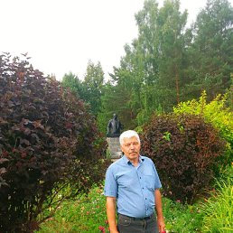 ���� �������, �����, 64 ���� - ��������� 17 ������� 2024