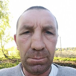 ����, �����, 44 ����