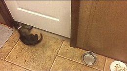 ��-���� ���� ��� ��������!