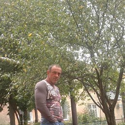 , 57, 