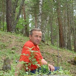 ���������, ������, 43 ����