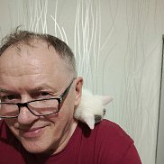 , 61 , 