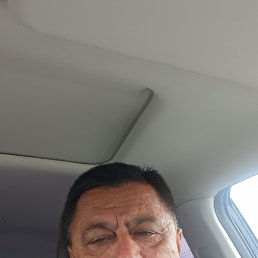 , 53 , 