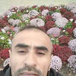 Farrukh, 41, 