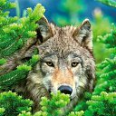 ���� �����, ������, 45 ��� - ��������� 17 ������ 2023