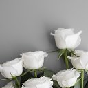 ���� ������, ����, 52 ���� - ��������� 11 ����� 2025 � ������ ���� ����������