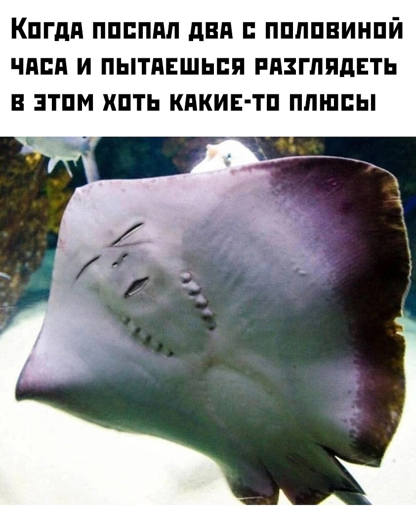  - 11  2025  08:06