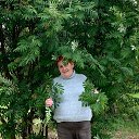 ���� ������, ���������� ����� - ��������� 3 ������� 2026 � ������ ���� ����������