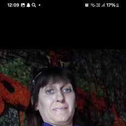 , 44, 