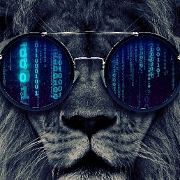 Xan, ������, 25 ���