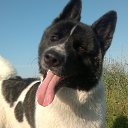 ���� �����)), ��������, 44 ���� - ��������� 20 ������ 2025 � ������ ������ ��������