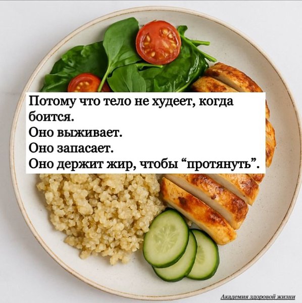 Ты урезала еду. Терпишь. Считаешь каждый лист салата. А вес — стоит? Добро пожаловать в ловушку ... - 3