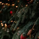 ���� ����, ������-���, 53 ���� - ��������� 14 ������ 2024 � ������ ���� ����������