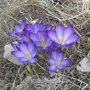 ���� ��������, �����-���������, 54 ���� - ��������� 10 ������ 2023 � ������ ���� ����������