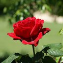���� �����, ������ - ��������� 5 ��� 2024 � ������ ������ ��������