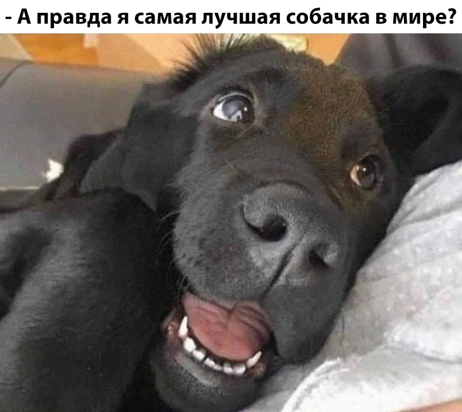 ������ ������ :3