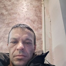 , 40, 