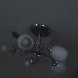 �����, ���������, 19 ���