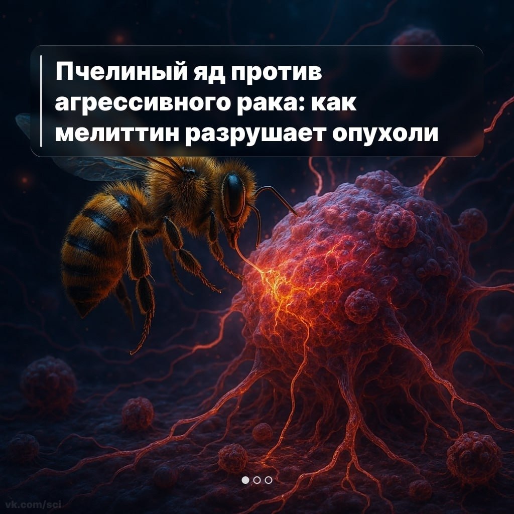 Путешествия | Туризм | Отдых на 5 - 11 сентября 2025 в 21:19