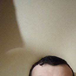 ���� ���, ������, 42 ���� - ��������� 6 ������� 2024