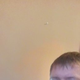 �����, 38 ���, �����-���������