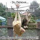 ���� Lucie, ���������� ����� - ��������� 19 ������� 2025 � ������ ���� ����������