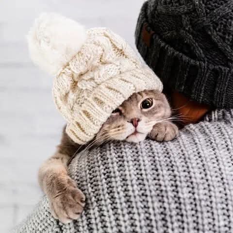 :)   .    .