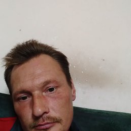 , 38, 