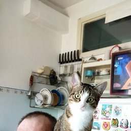 , , 53 