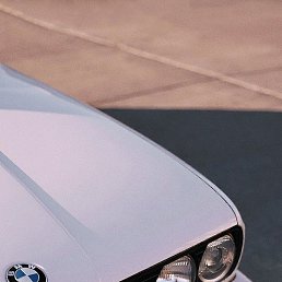 ����� ������, �������, 24 ����