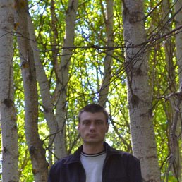 ������, 39 ���, �������