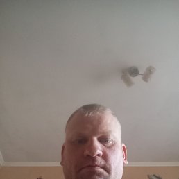 ����, 41 ���, ���������