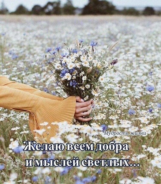 Желаю всем добра и мыслей светлых….Пускай обиды прошлые уйдут…От них вы избавляйтесь ...