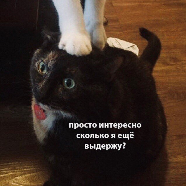    - 8  2023  21:30