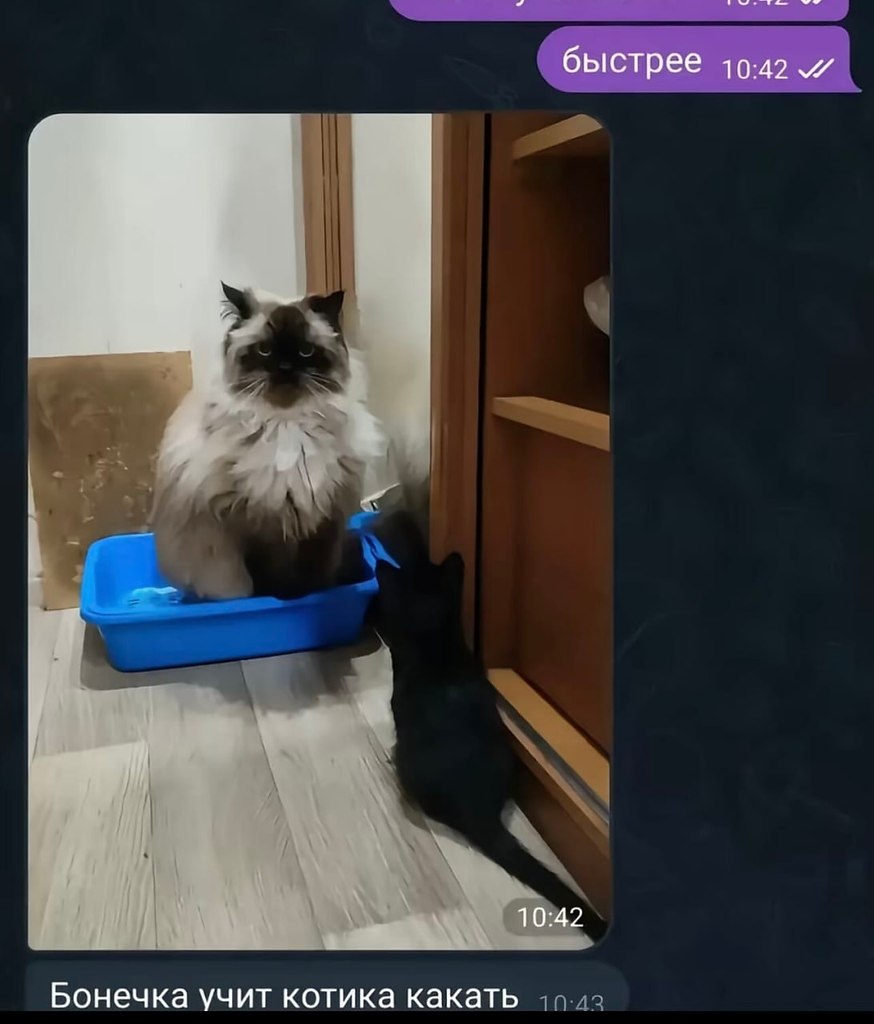 ��� ������������� ����� - 2