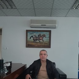 ���� �������, ������, 51 ��� - ��������� 2 ����� 2024