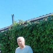 , 65 , 
