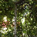 ���� ��������� ��������, ������, 42 ���� - ��������� 5 ������� 2025 � ������ ���� ����������