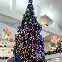 ���� �������, �����������, 58 ��� - ��������� 21 ������� 2025 � ������ ���� ����������